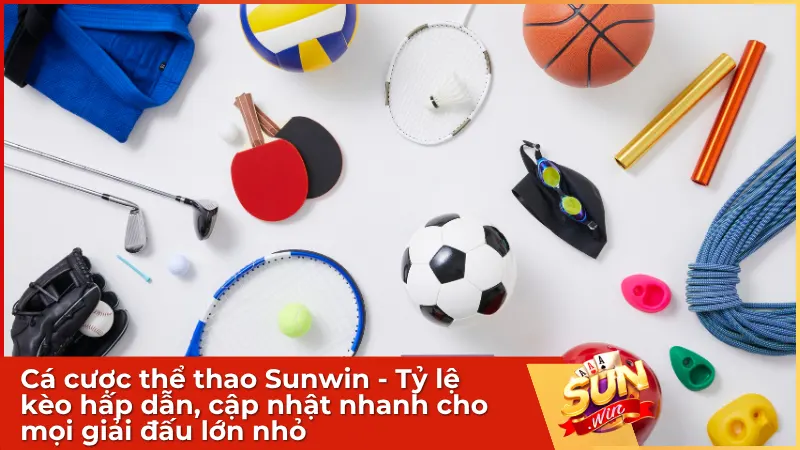 Cá cược thể thao Sunwin - Tỷ lệ kèo hấp dẫn, cập nhật nhanh cho mọi giải đấu lớn nhỏ
