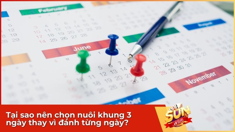 Tại sao nên chọn nuôi khung 3 ngày thay vì đánh từng ngày?